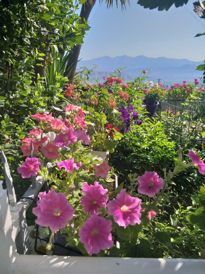 Guesthouse Villa Joanna&Mattheo Sarandë 외부 사진